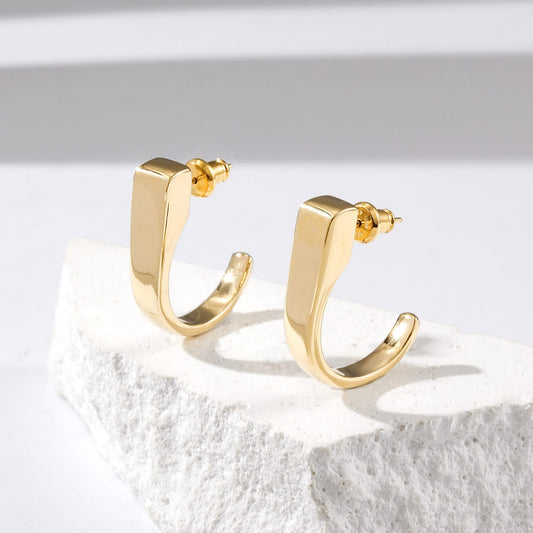 Hook Earrings